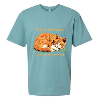 Cat Lover Sleeping Cat A Cats Gotta Do Funny Cat Saying Sueded Cloud Jersey T-Shirt