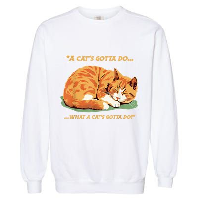 Cat Lover Sleeping Cat A Cats Gotta Do Funny Cat Saying Garment-Dyed Sweatshirt