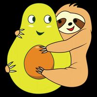Cute Lazy Sloth Animal Avocado Lover Hugging Flat Bill Trucker Hat