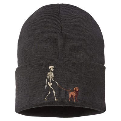 Chocolate Labrador Skeleton Dog Walking Halloween Sustainable Knit Beanie