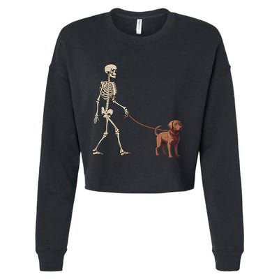 Chocolate Labrador Skeleton Dog Walking Halloween Cropped Pullover Crew