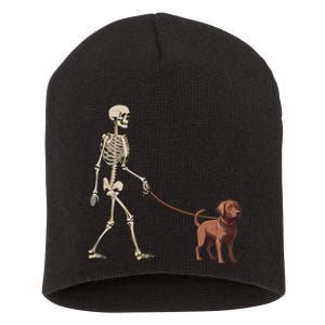 Chocolate Labrador Skeleton Dog Walking Halloween Short Acrylic Beanie