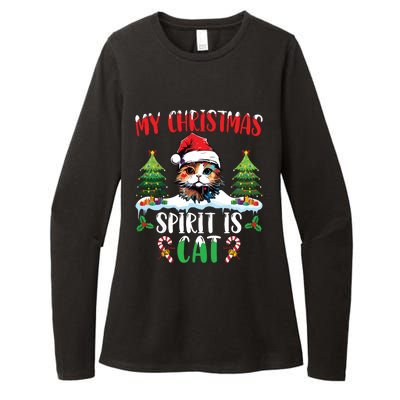 Cat Lover Santa Hat Christmas Lights My Christmas Spirit Cat Womens CVC Long Sleeve Shirt