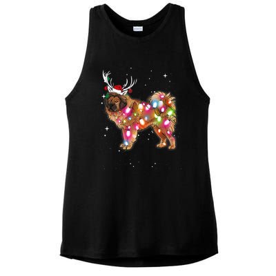 Christmas Lights Tibetan Mastiff Dog Ladies PosiCharge Tri-Blend Wicking Tank