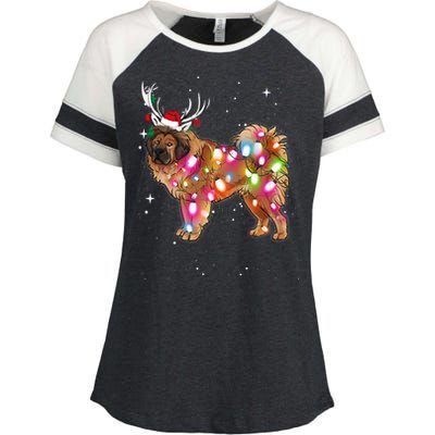 Christmas Lights Tibetan Mastiff Dog Enza Ladies Jersey Colorblock Tee