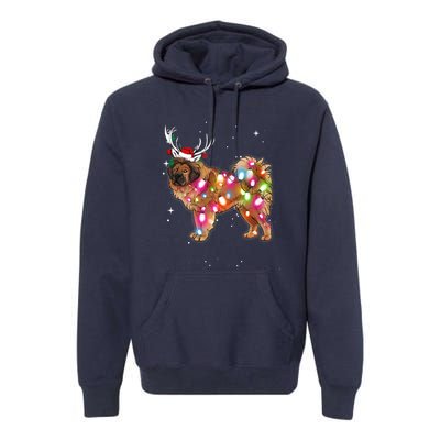 Christmas Lights Tibetan Mastiff Dog Premium Hoodie