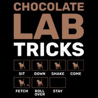 Chocolate Lab Tricks Black Labrador 16 in Basic Backpack