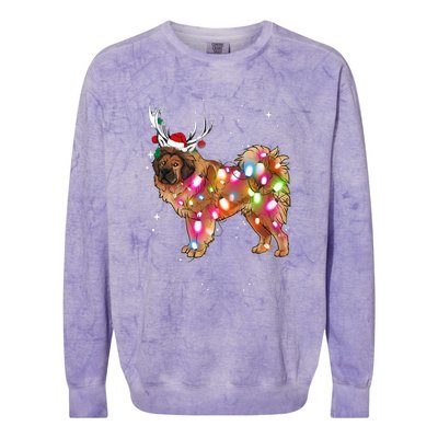 Christmas Lights Tibetan Mastiff Dog Colorblast Crewneck Sweatshirt