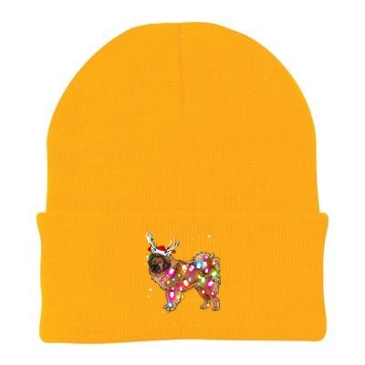 Christmas Lights Tibetan Mastiff Dog Knit Cap Winter Beanie