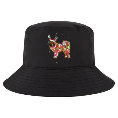 Christmas Lights Tibetan Mastiff Dog Cool Comfort Performance Bucket Hat