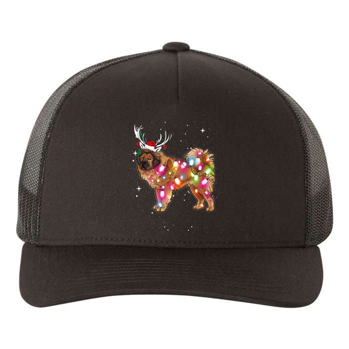 Christmas Lights Tibetan Mastiff Dog Yupoong Adult 5-Panel Trucker Hat