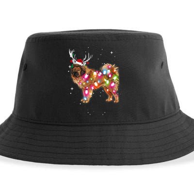 Christmas Lights Tibetan Mastiff Dog Sustainable Bucket Hat