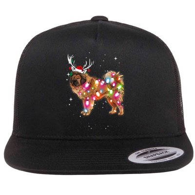 Christmas Lights Tibetan Mastiff Dog Flat Bill Trucker Hat