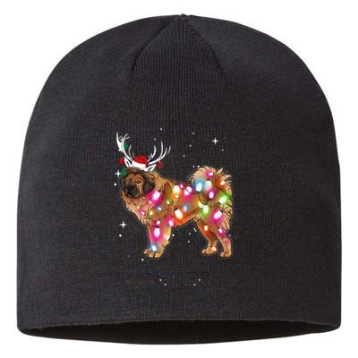 Christmas Lights Tibetan Mastiff Dog Sustainable Beanie