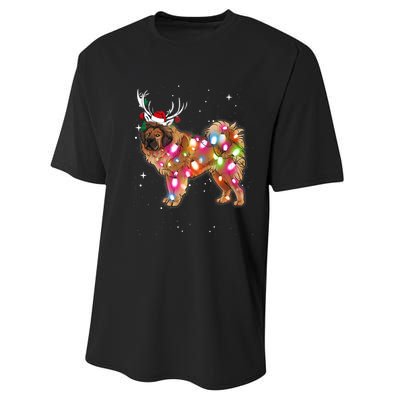 Christmas Lights Tibetan Mastiff Dog Performance Sprint T-Shirt