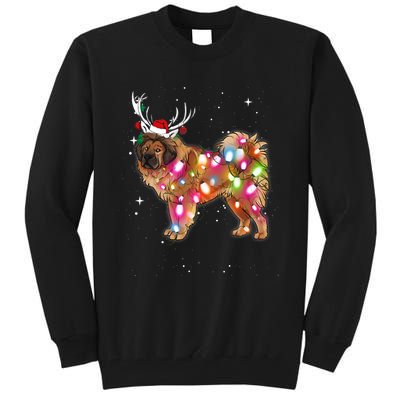 Christmas Lights Tibetan Mastiff Dog Tall Sweatshirt