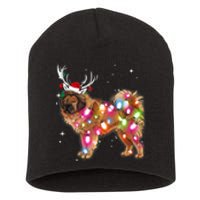 Christmas Lights Tibetan Mastiff Dog Short Acrylic Beanie