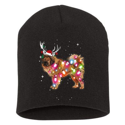 Christmas Lights Tibetan Mastiff Dog Short Acrylic Beanie