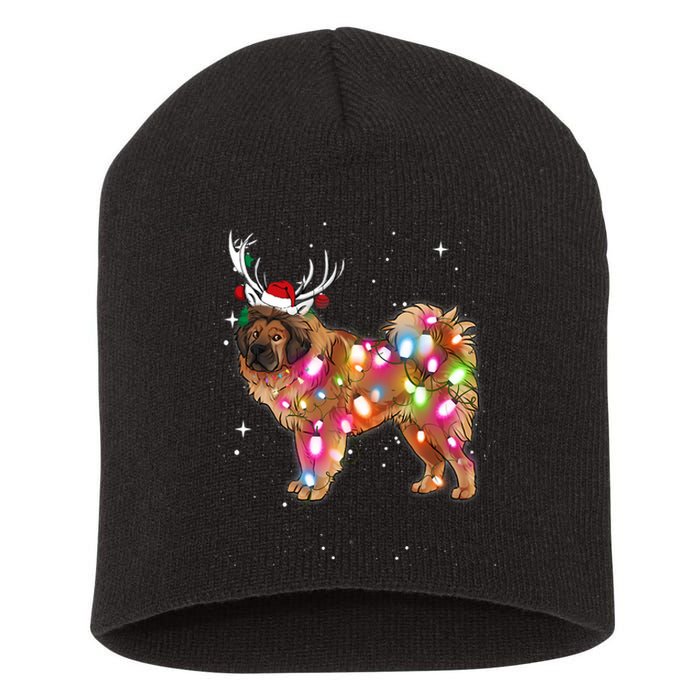 Christmas Lights Tibetan Mastiff Dog Short Acrylic Beanie