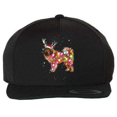 Christmas Lights Tibetan Mastiff Dog Wool Snapback Cap