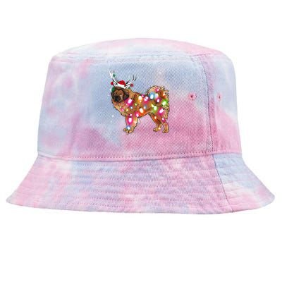 Christmas Lights Tibetan Mastiff Dog Tie-Dyed Bucket Hat