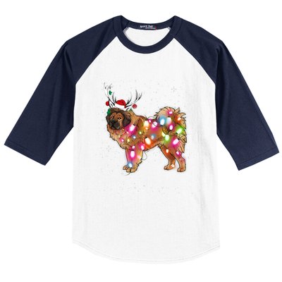 Christmas Lights Tibetan Mastiff Dog Baseball Sleeve Shirt