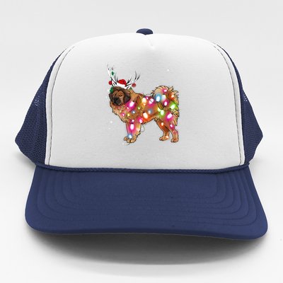 Christmas Lights Tibetan Mastiff Dog Trucker Hat