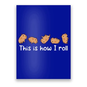 Capybara Lover This Is How I Roll Capybara Gift Poster