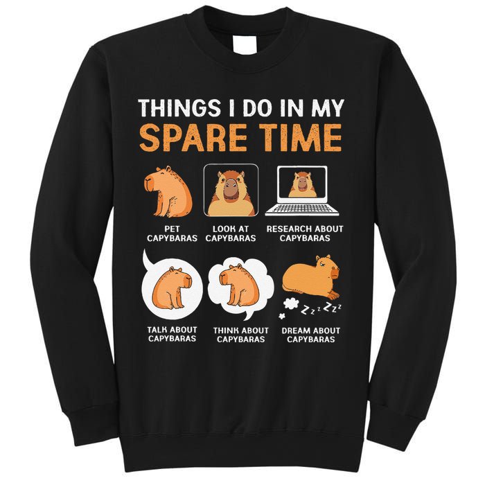Capybara Lover Things I Do In My Spare Time Sweatshirt