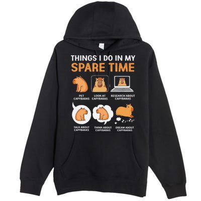 Capybara Lover Things I Do In My Spare Time Premium Pullover Hoodie