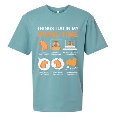 Capybara Lover Things I Do In My Spare Time Sueded Cloud Jersey T-Shirt