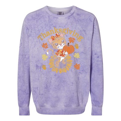 Cute Leopard Thanksgiving Pumpkin Autumn Fall Leopard Gift Colorblast Crewneck Sweatshirt