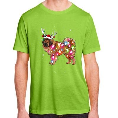 Christmas Lights Tibetan Mastiff Dog Adult ChromaSoft Performance T-Shirt