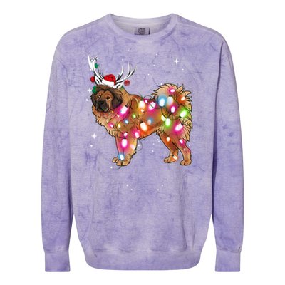 Christmas Lights Tibetan Mastiff Dog Colorblast Crewneck Sweatshirt