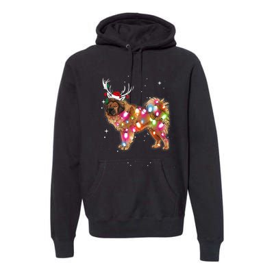 Christmas Lights Tibetan Mastiff Dog Premium Hoodie