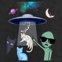 Cat Lovers UFO Space Abduction Of Cats By Aliens Design Cool Comfort Performance Bucket Hat