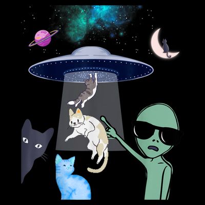Cat Lovers UFO Space Abduction Of Cats By Aliens Design T-Shirt