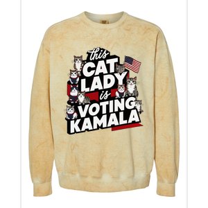 Cat Lady Voting For Kamala Harris 2024 1st Female President Colorblast Crewneck Sweatshirt