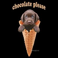 Chocolate Lab Waffle Cone Ice Cream Cute Puppy Wool Snapback Cap