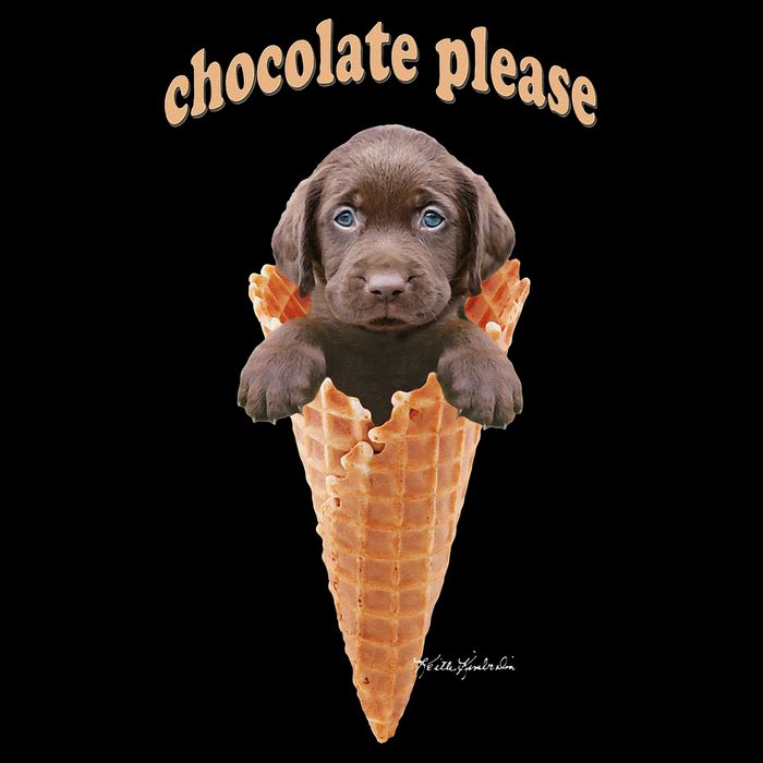 Chocolate Lab Waffle Cone Ice Cream Cute Puppy Wool Snapback Cap