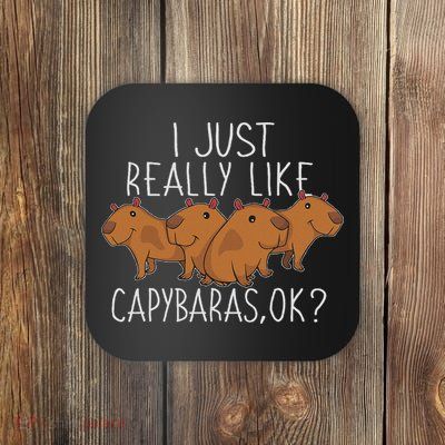 Capybara Lover Women Cute Capybara Coaster