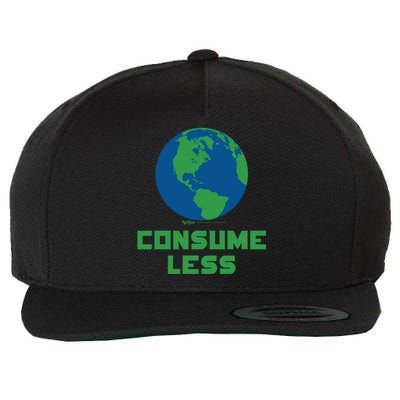 Consume Less World Earth Day Environtal Great Gift Wool Snapback Cap