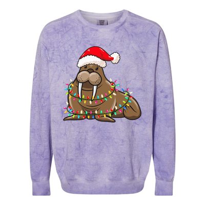 Christmas Lights Walrus Wearing Xmas Hat Walrus Lover Colorblast Crewneck Sweatshirt