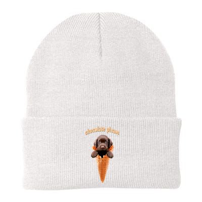 Chocolate Lab Waffle Cone Ice Cream Cute Puppy Knit Cap Winter Beanie