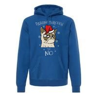 Cat Lover Xmas Funny Gift Dashing Through No Grumpy Christmas Gift Premium Hoodie