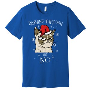 Cat Lover Xmas Funny Gift Dashing Through No Grumpy Christmas Gift Premium T-Shirt