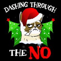 Cat Lover Xmas Dashing Through Grumpy Cats The No Christmas Flatbill Hat