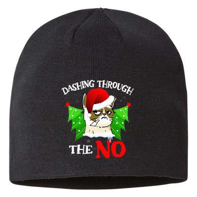 Cat Lover Xmas Dashing Through Grumpy Cats The No Christmas Sustainable Beanie