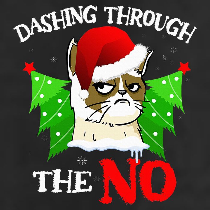 Cat Lover Xmas Dashing Through Grumpy Cats The No Christmas 25L Jumbo Tote