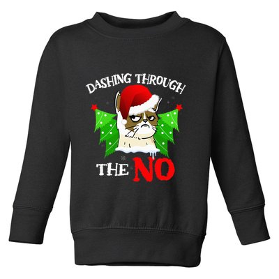 Cat Lover Xmas Dashing Through Grumpy Cats The No Christmas Toddler Sweatshirt